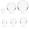 Glob de sticla cu sport Navaris pentru fotografii/ decor, 60 mm, 42862