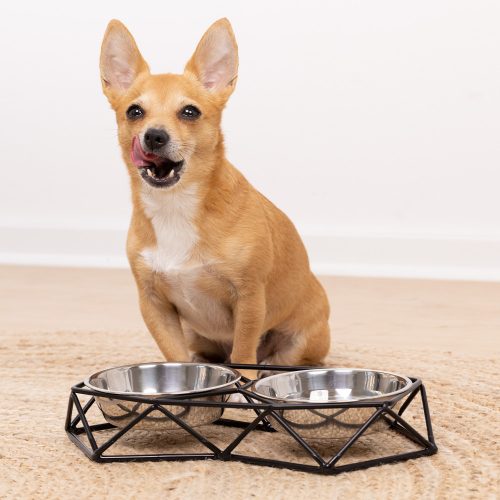 Set 2 Boluri din inox pentru caini si pisici Navaris cu suport metalic, 54103.01