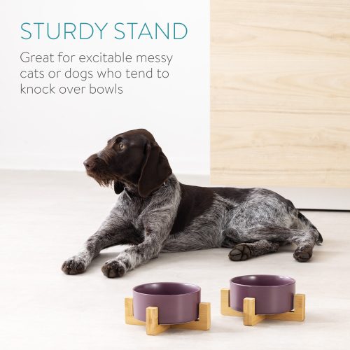 Set 2 Boluri pentru pisici si caini cu suport din bambus Navaris, 850 ml, Mov, 48350.55