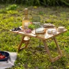 Masuta picnic portabila Navaris, 43x32x23 cm, 4 suporturi pahare, pliabila, 56161.01