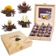 Set cadou ceai infloritor Creano ErbluhTeelini, 12 bile, ceai negru, 4 sortimente, cutie lemn