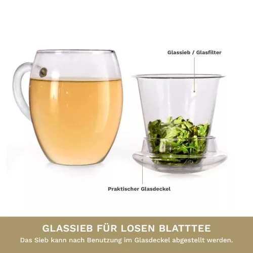 Pahar pentru ceai Creano All-In-One, 400 ml, filtru si capac din sticla, borosilicat