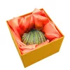 Casetă pentru bijuterii Giftdeco HX068 în formă de scoică, metal și cristale albastre, 6 x 6 x 3 cm