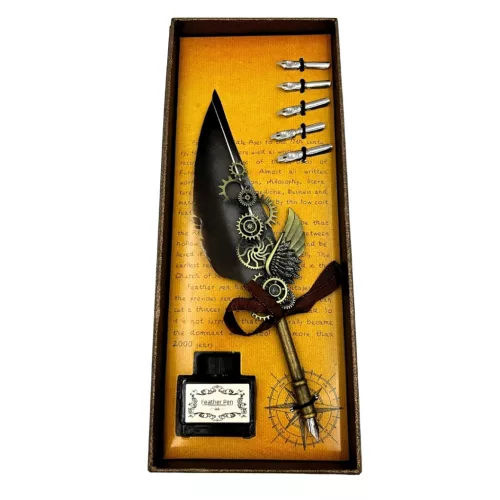 Set caligrafie Giftdeco EE5, pană de gâscă gri, 6 penițe și cerneală 15 ml